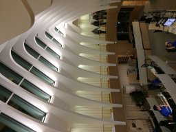 IMG_3937